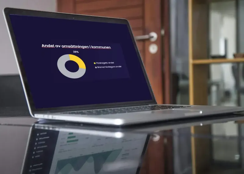 Branschanalys  Andel omsättning kommun Analys Branschfakta graf dator